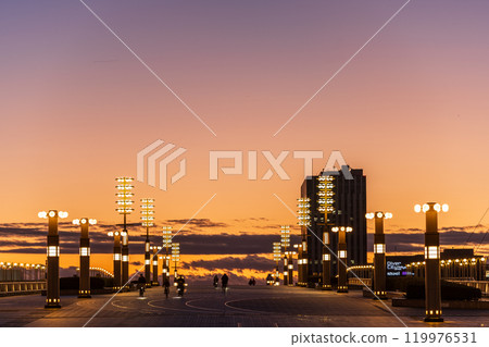 黃昏時分的「東京」有明/夢之大橋 夜景 黃昏時分的「東京」有明/夢之大橋 夜景 119976531