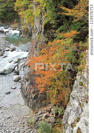 Autumn in Akiyamago: Nakatsugawa Valley upstream of Maekurabashi Bridge Autumn in Akiyamago: Nakatsugawa Valley upstream of Maekurabashi Bridge 119976753