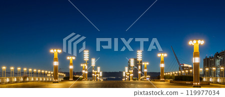 《東京》夢之大橋有明夜景 119977034