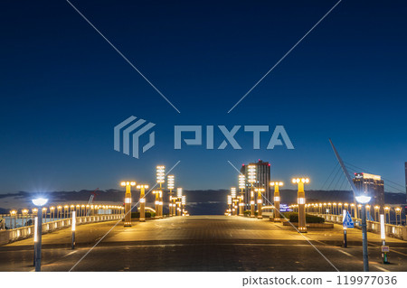 《東京》夢之大橋有明夜景 119977036
