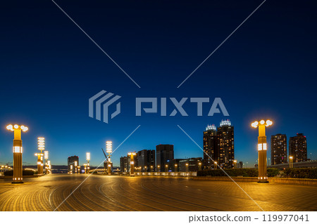 《東京》夢之大橋有明夜景 119977041