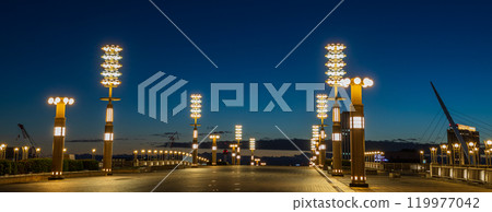 《東京》夢之大橋有明夜景 119977042