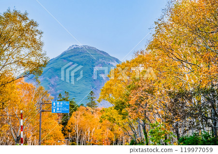 北海道知床羅臼山與黃樺林 北海道知床羅臼山與黃樺林 119977059