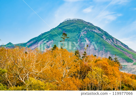 北海道知床羅臼山與黃樺林 北海道知床羅臼山與黃樺林 119977066