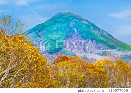 Hokkaido Shiretoko Mount Rausu and the yellow birch forest 119977069