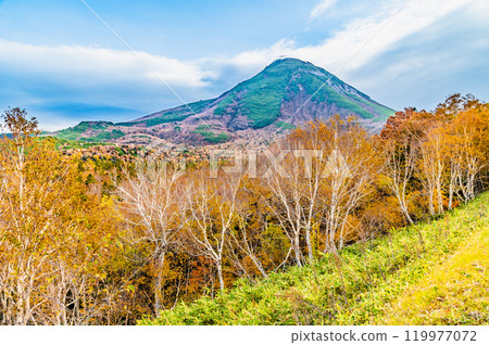 北海道知床羅臼山與黃樺林 119977072
