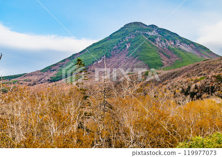 北海道知床羅臼山與黃樺林 北海道知床羅臼山與黃樺林 119977073