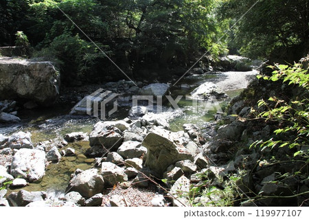 The clear stream of Settsu Gorge in Takatsuki, Osaka, with sunlight filtering through the trees The clear stream of Settsu Gorge in Takatsuki, Osaka, with sunlight filtering through the trees 119977107