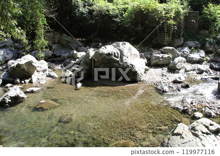 The clear stream of Settsu Gorge in Takatsuki, Osaka, with sunlight filtering through the trees 119977116