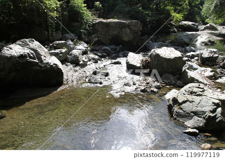 大阪高槻攝津峽清澈的溪流充滿了透過樹林的陽光 大阪高槻攝津峽清澈的溪流充滿了透過樹林的陽光 119977119