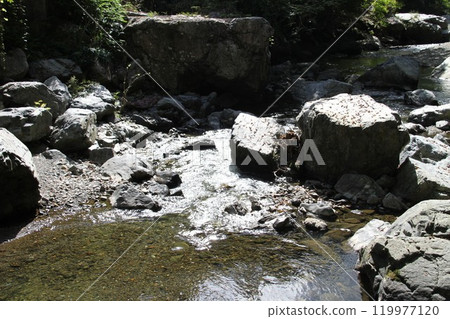 The clear stream of Settsu Gorge in Takatsuki, Osaka, with sunlight filtering through the trees The clear stream of Settsu Gorge in Takatsuki, Osaka, with sunlight filtering through the trees 119977120