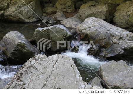 The clear stream of Settsu Gorge in Takatsuki, Osaka, with sunlight filtering through the trees The clear stream of Settsu Gorge in Takatsuki, Osaka, with sunlight filtering through the trees 119977153