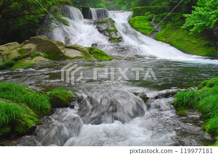 Fresh green 430,000 Waterfalls (Kikuchi Valley/Kikuchi City) Fresh green 430,000 Waterfalls (Kikuchi Valley/Kikuchi City) 119977181