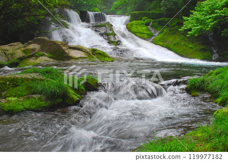 Fresh green 430,000 Waterfalls (Kikuchi Valley/Kikuchi City) Fresh green 430,000 Waterfalls (Kikuchi Valley/Kikuchi City) 119977182