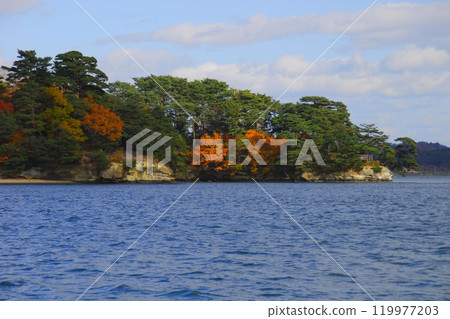 秋天的松島(宮城縣松島町) 秋天的松島(宮城縣松島町) 119977203