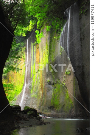 Yufu River Valley in summer (Yufu City, Beppu City, vertical composition) 119977411