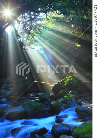 Sunlit Meoto Falls (Vertical composition, Minamioguni Town, Kumamoto Prefecture) 119977421