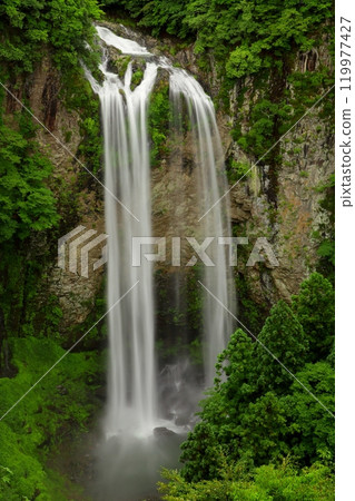 Fukino Falls in early summer (Usa City, vertical composition) 119977427