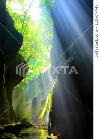 The Yufu River Valley illuminated by sunlight (Yufu City, Beppu City, vertical composition) 119977447