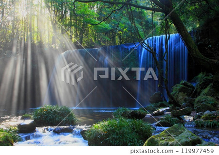 Lighting Nabegataki Falls (Oguni Town, Kumamoto Prefecture) 119977459