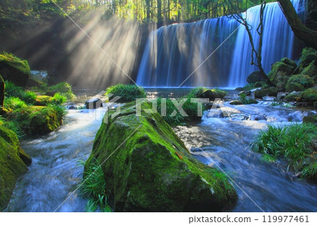 Lighting Nabegataki Falls (Oguni Town, Kumamoto Prefecture) 119977461