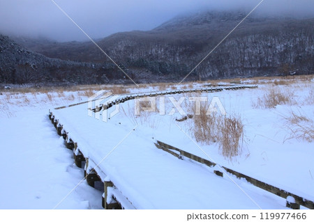 冬天的蓼原濕地(大分縣九重町九重山脈) 冬天的蓼原濕地(大分縣九重町九重山脈) 119977466