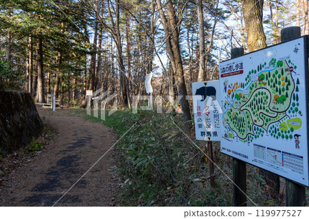 自然公園，設有森林步道和警告熊的招牌。 119977527