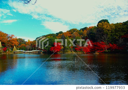 藥師池的藍色和楓葉的秋葉 藥師池的藍色和楓葉的秋葉 119977933