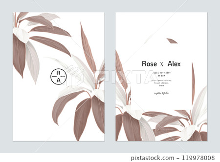 Foliage wedding invitation card template design, brown Cordyline fruticosa Firebrand plant on white 119978008