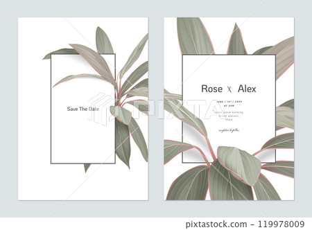 Foliage wedding invitation card template design, Cordyline fruticosa Firebrand plant on white 119978009
