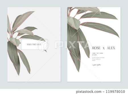 Foliage wedding invitation card template design, Cordyline fruticosa Firebrand plant on white and grey 119978010