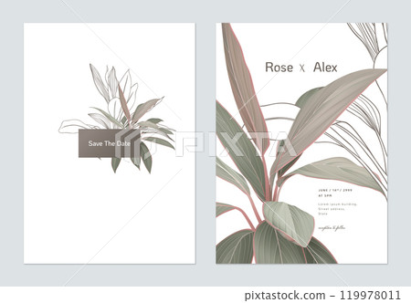 Foliage wedding invitation card template design, Cordyline fruticosa Firebrand plant on white 119978011