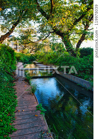 Nigaryo水和宿河原堰取水口的風景 119978039