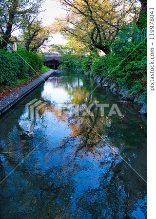 View of the Nigaryo Canal and the intake of the Shukugawara Weir 119978041