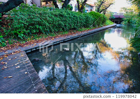 Nigaryo水和宿河原堰取水口的風景 119978042