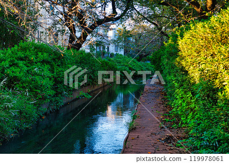 Nigaryo水和宿河原堰取水口的風景 119978061