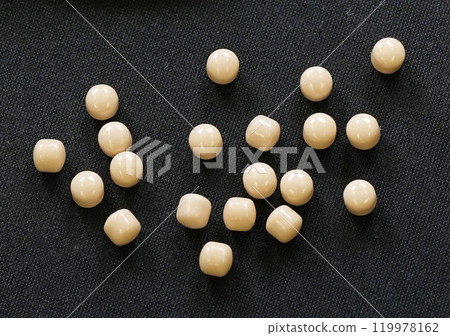 Supplement Supplement 119978162