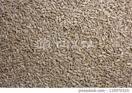 Peeled Sunflower Seeds Background Peeled Sunflower Seeds Background 119978324