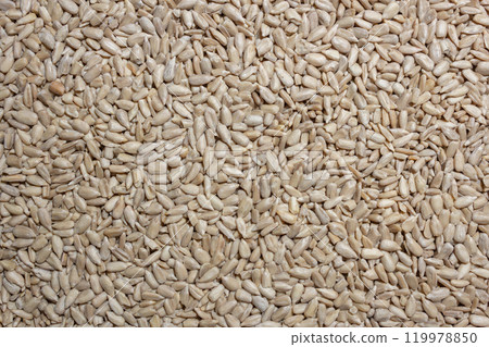 Peeled Sunflower Seeds Background Peeled Sunflower Seeds Background 119978850