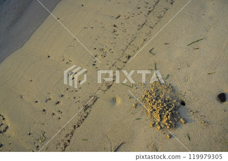 在平靜的夏日海中，清晨的陽光照亮了天橋立的沙灘 119979305