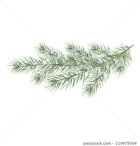 Christmas fir branch watercolor isolated illustration. Hand drawn composition with green spruce tree branch with needles. Botanical decor for winter holidays invitation, Happy New Year greeting cards. Christmas fir branch watercolor isolated illustration. Hand drawn composition with green spruce tree branch with needles. Botanical decor for winter holidays invitation, Happy New Year greeting cards. 119979504