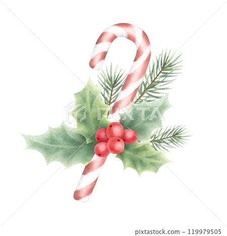 Christmas candy cane with holly plant and fir branch. Hand drawn watercolor isolated illustration. Composition for Happy New Year greeting cards template, stickers, festive packaging and designs. Christmas candy cane with holly plant and fir branch. Hand drawn watercolor isolated illustration. Composition for Happy New Year greeting cards template, stickers, festive packaging and designs. 119979505