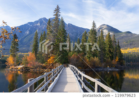 Perspective view from the wooden bridge to Pyramid lake island, fall scenery with yellow foliage and green spruce trees. Jasper national park 119979623