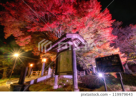 Autumn foliage illumination at Tsuchi Shrine in Inawashiro Town, Fukushima Prefecture 119979643