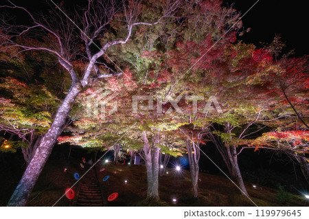 Autumn foliage illumination at Tsuchi Shrine in Inawashiro Town, Fukushima Prefecture 119979645