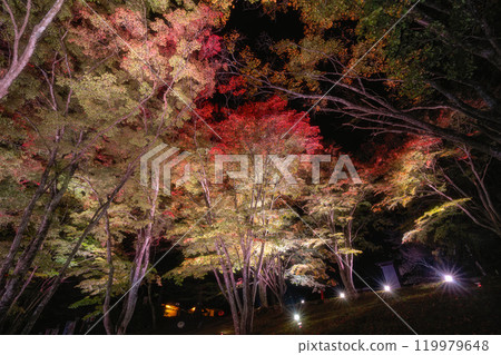 Autumn foliage illumination at Tsuchi Shrine in Inawashiro Town, Fukushima Prefecture Autumn foliage illumination at Tsuchi Shrine in Inawashiro Town, Fukushima Prefecture 119979648