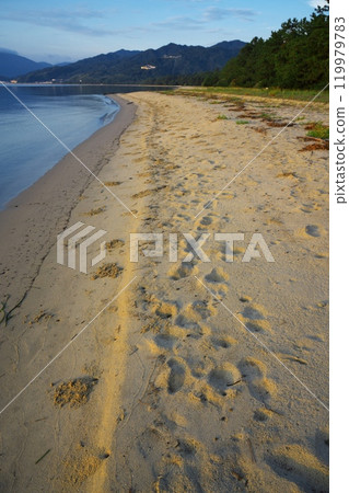 A summer morning's calm sea and the sandy beach of Amanohashidate illuminated by the morning sun 119979783