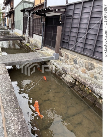 飛彈古川舊街景和水道中的鯉魚 飛彈古川舊街景和水道中的鯉魚 119979867