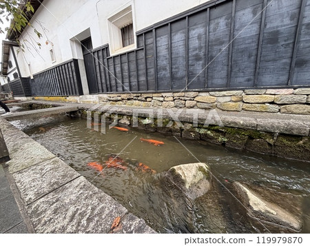 飛彈古川舊街景和水道中的鯉魚 飛彈古川舊街景和水道中的鯉魚 119979870