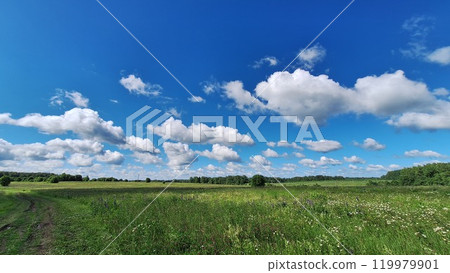 Vibrant summer landscape with blue sky and fluffy clouds in a green meadow 119979901